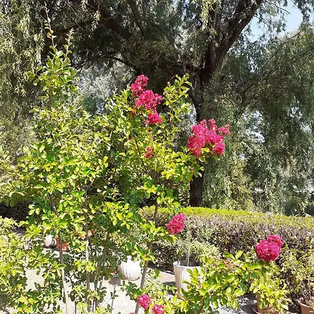 Country-lake Bed & Breakfast