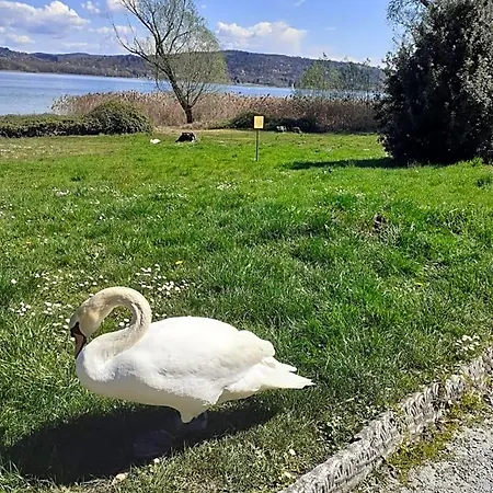 Country-lake * Dormelletto